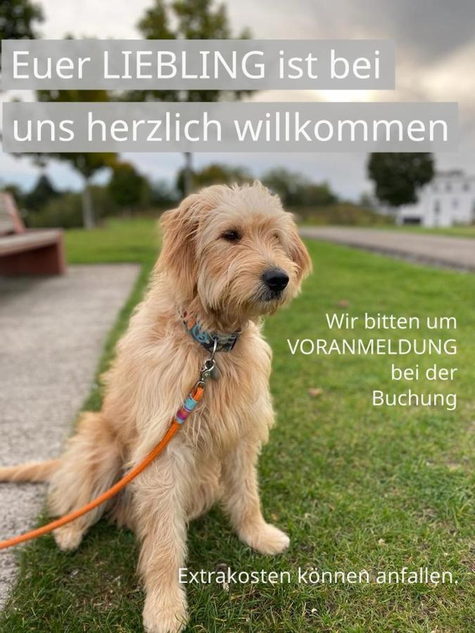 Fewo Clemens - Wohnkueche + 2 Schlafraeume + Bad + Terrasse Hamm  Esterno foto